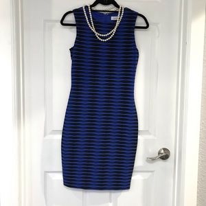 Calvin Klein Petite Form Fitting Dress